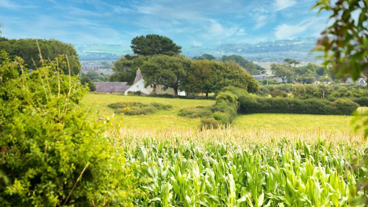 Tan Yr Allt Llangadwaladr  Екстер'єр фото
